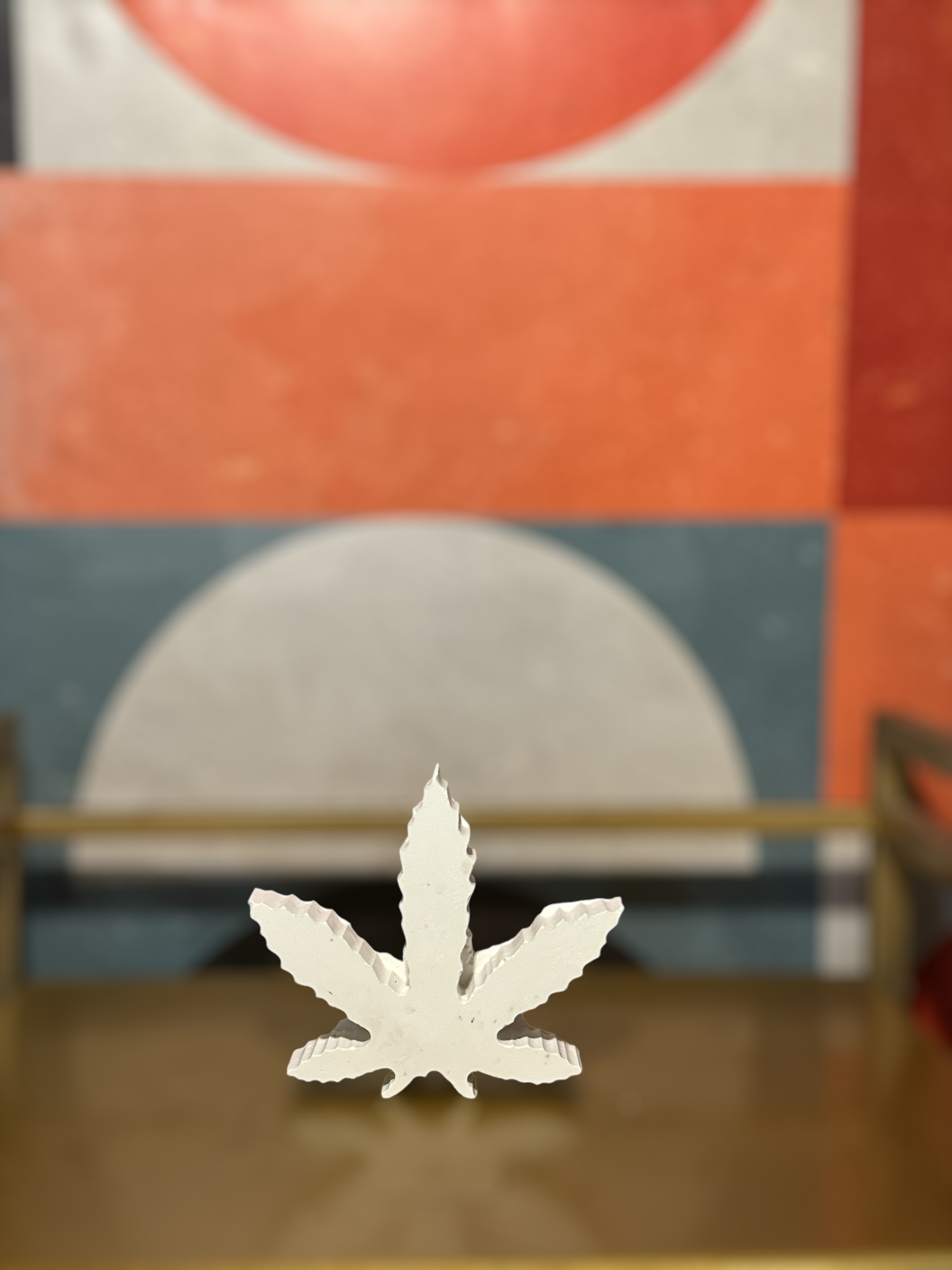 Photoroom_20240921_194943.jpeg