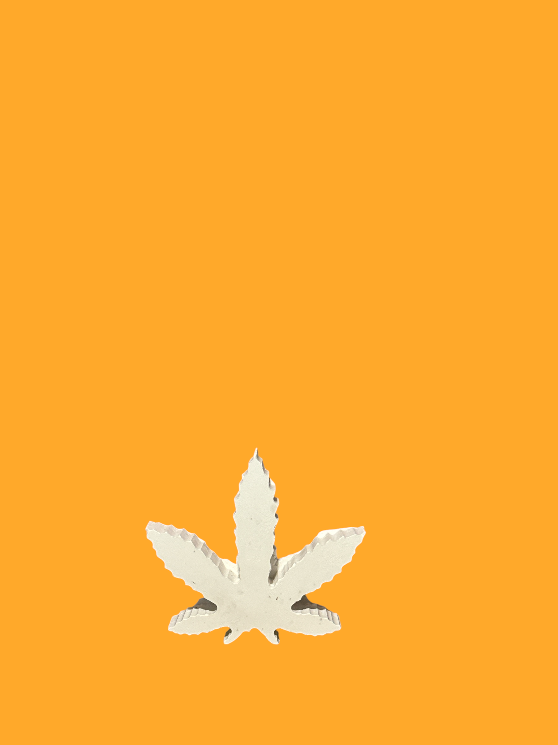 Photoroom_20240921_195134.jpeg