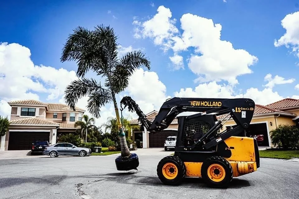 A New Holland compact skid steer loader lifting a palm tree with a root ball in a black container in a suburban neighborhood street. Houses with attached garages and parked cars are visible in the background under a partly cloudy sky.