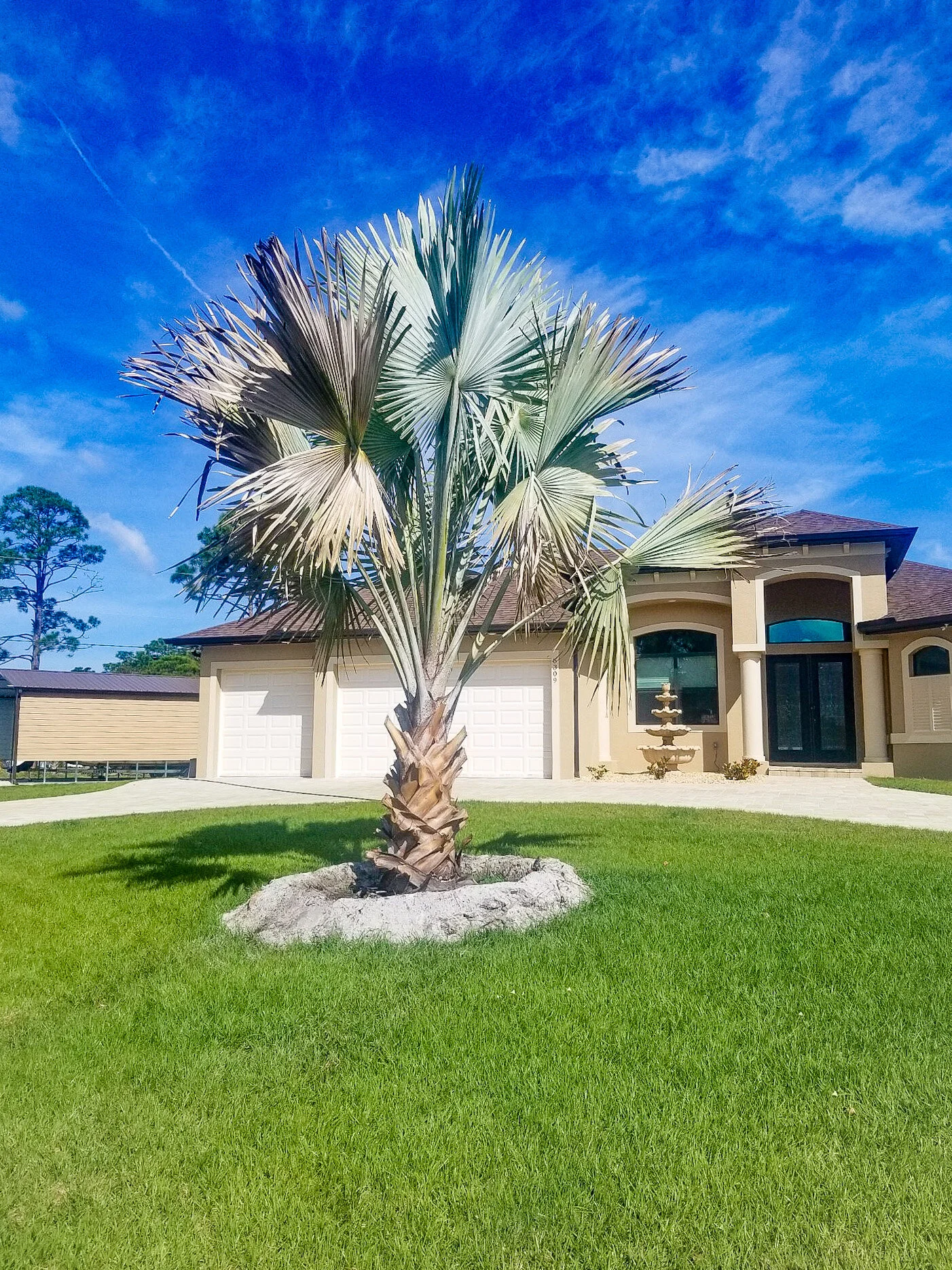 A palm tree planted in a circular mulch bed in front of a beige house with a three-car garage, under a bright blue sky with some clouds.