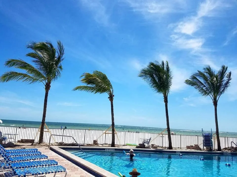 Beachside swimming pool area with lounge chairs, palm trees, and ocean in the background during a sunny day.