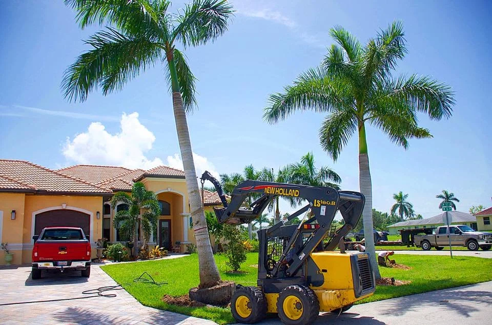 A small construction vehicle trimming a palm tree in a suburban neighborhood with houses, a parked red truck, and a clear blue sky.