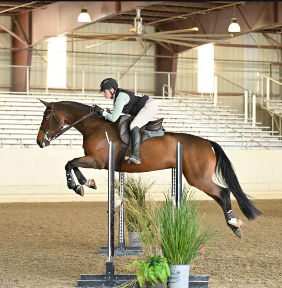 A rider and horse jumping over an obstacle in an indoor arena, with plants at the base of the jump.