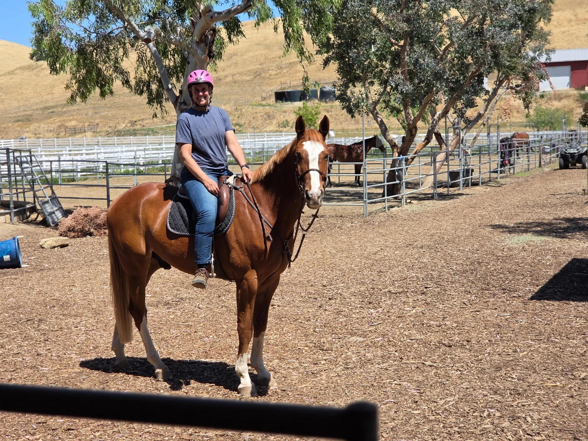 A woman wearing a pink helmet riding a brown and white horse in an outdoor farm setting with trees, fencing, and a barn in the background.