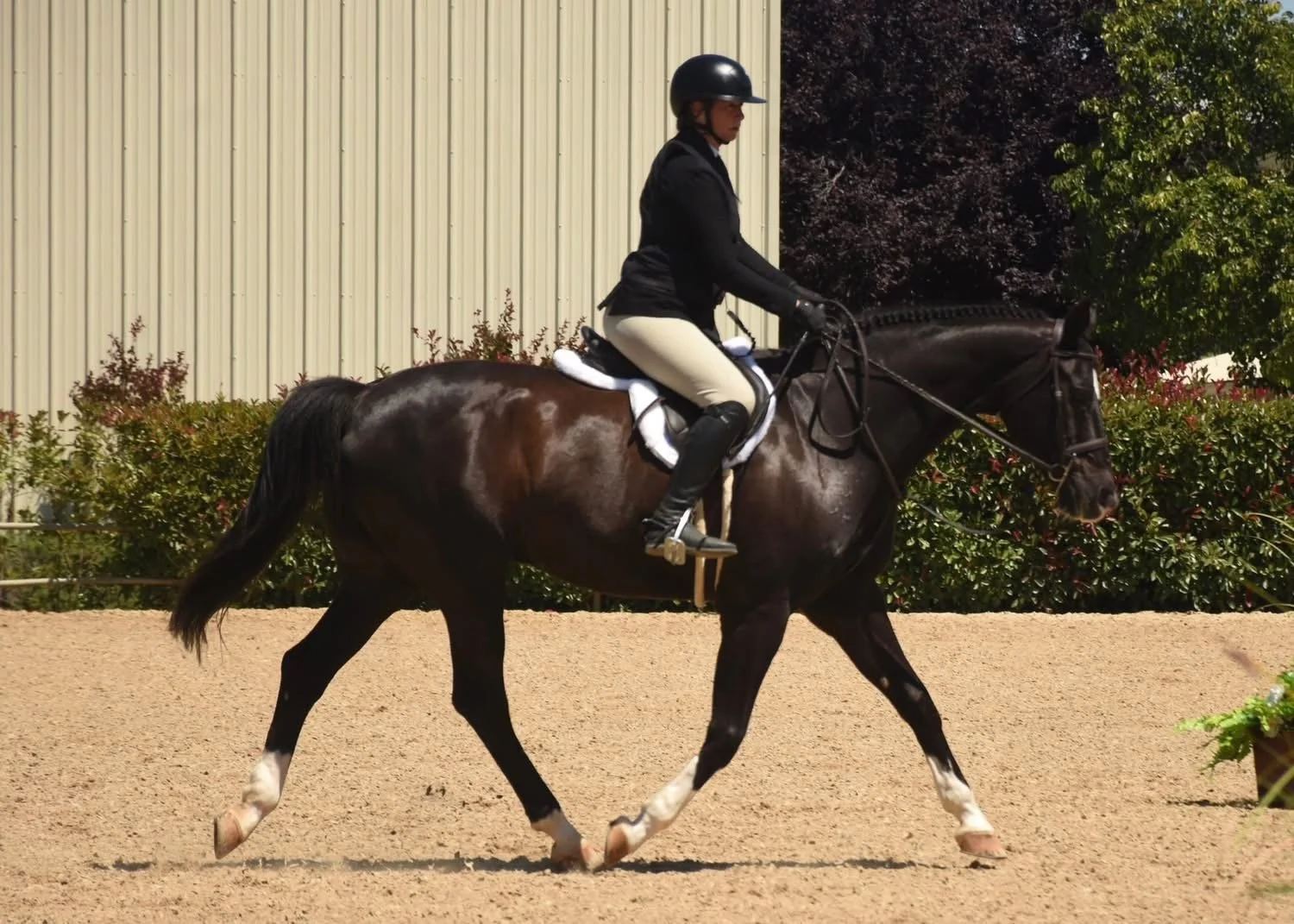 A woman in riding attire and helmet riding a dark brown horse with white markings on its legs and face in an outdoor riding arena.
