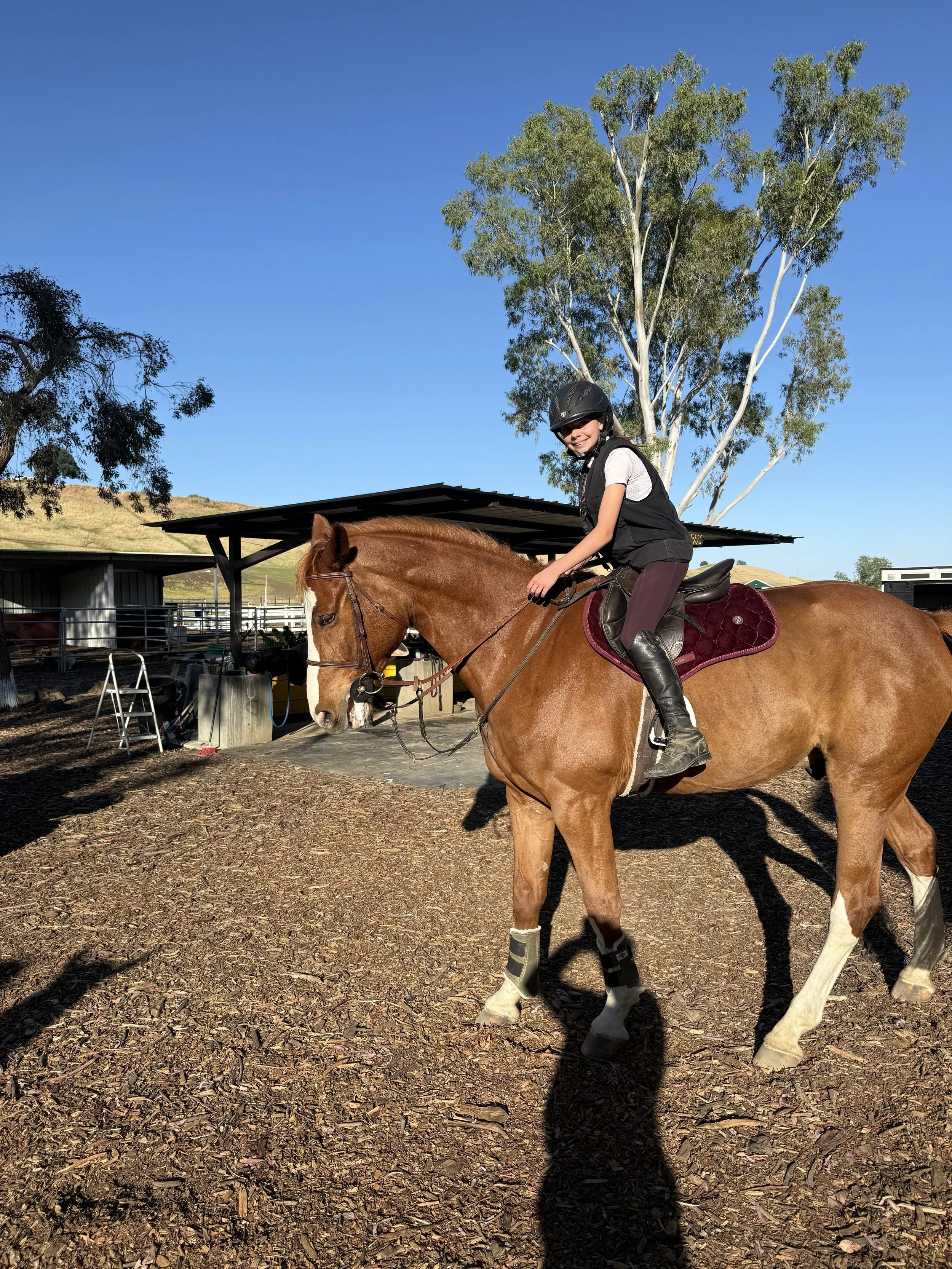 A girl wearing riding gear, including a helmet, sitting on a brown horse with a white blaze on its face, in an outdoor equestrian facility under a clear blue sky.