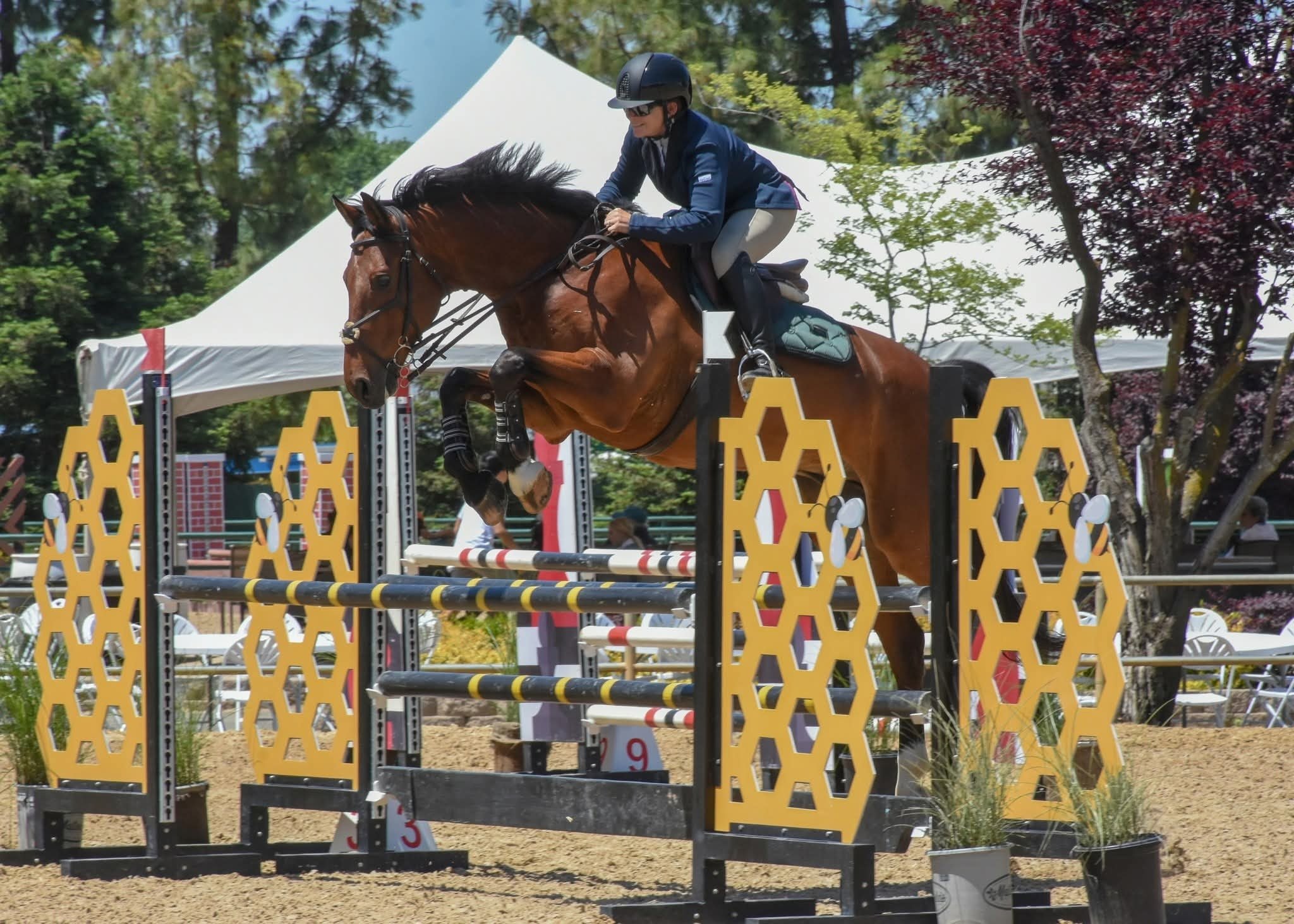 A person riding a horse over a jump in an equestrian show, wearing a helmet and riding attire, in an outdoor setting with trees and tents.