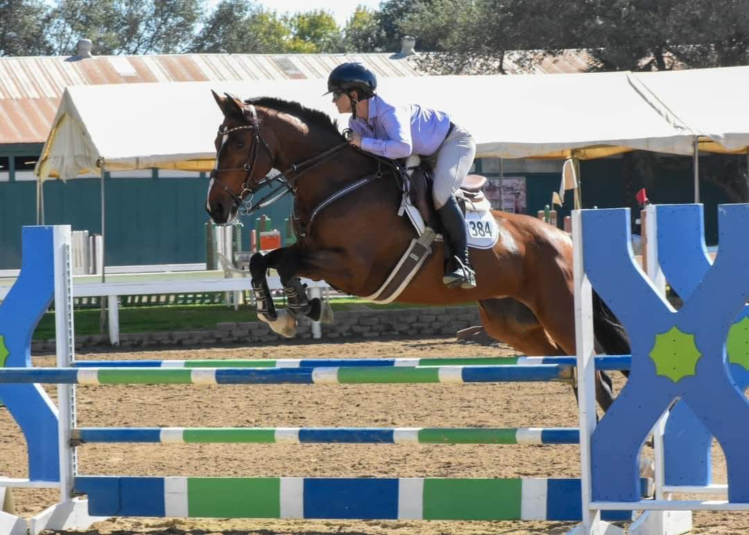 A person wearing a helmet and riding attire jumping over a blue and green obstacle on a brown horse in a horse jumping competition outdoors.