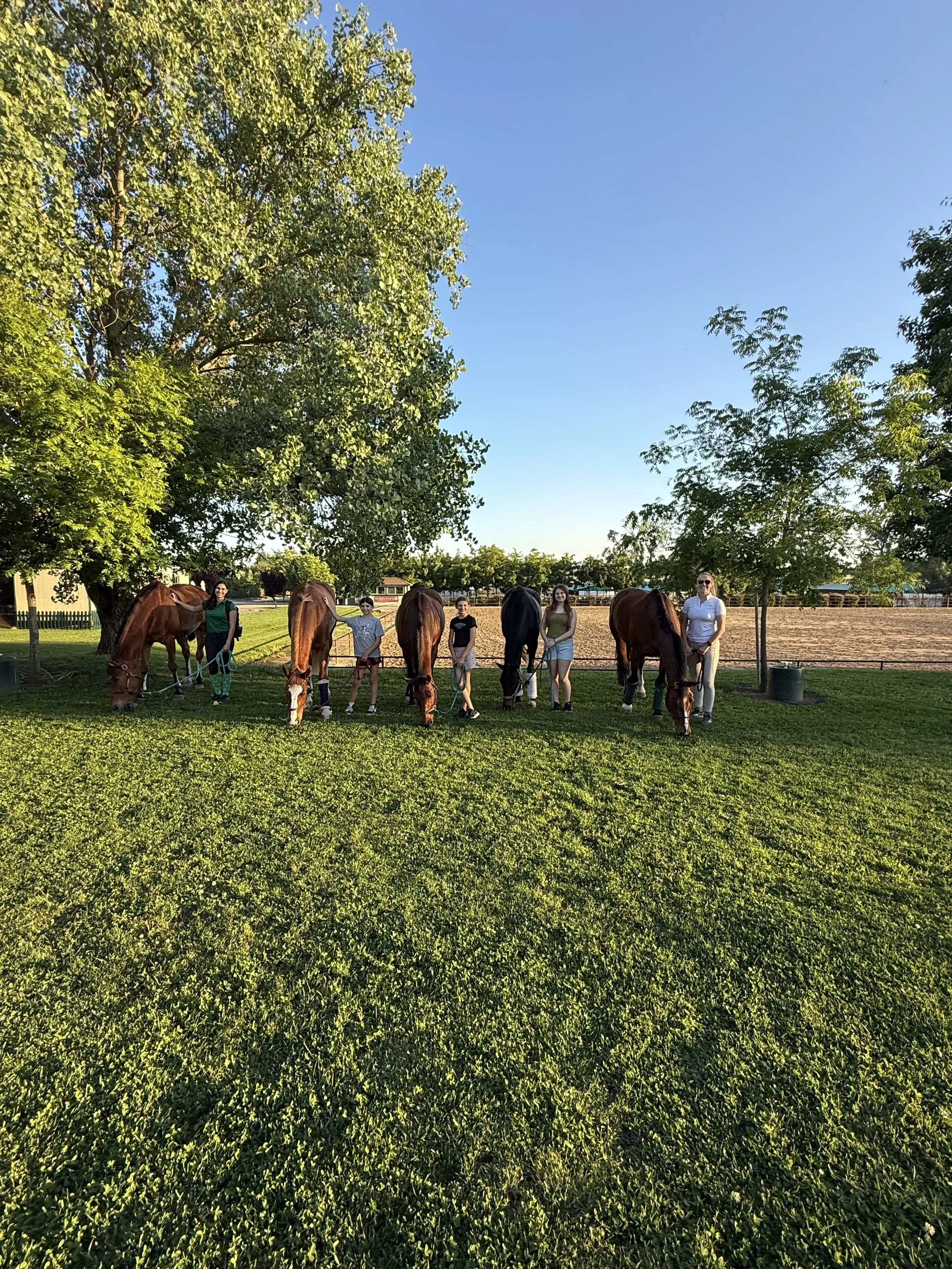 Six people standing in a row, each holding a horse by the reins, outdoors in a grassy area with large trees and clear blue sky, during sunset.