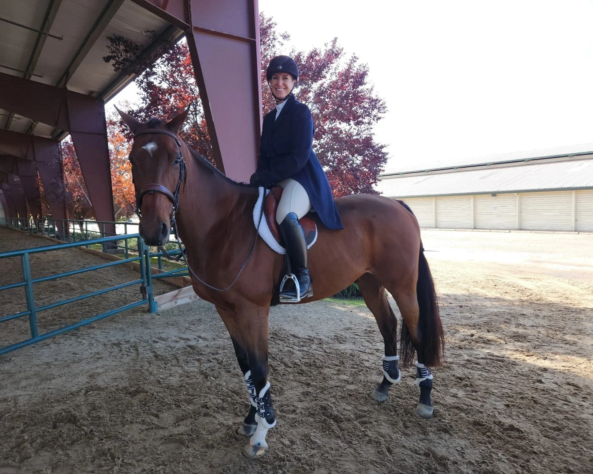A person in equestrian attire riding a brown horse in an outdoor riding arena with trees and a building in the background.