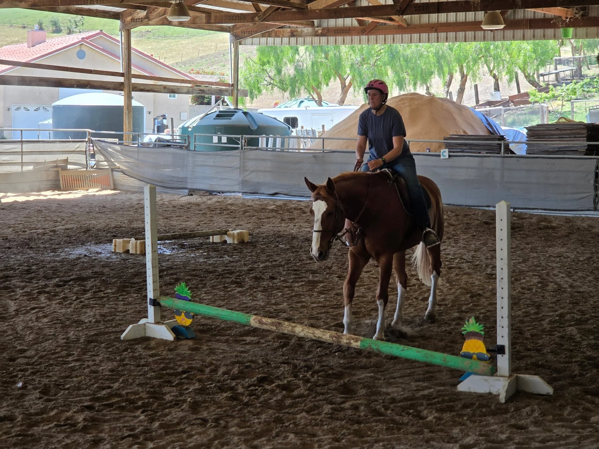 A person wearing a pink helmet is riding a horse inside an indoor riding arena. The arena has a dirt floor, some small jumps, and a backdrop of green trees and a hillside outside.
