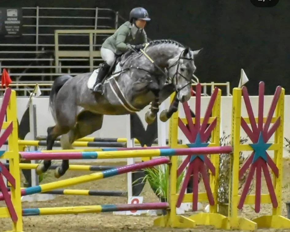 A person riding a gray horse jumps over a colorful obstacle during a show jumping competition inside an arena.
