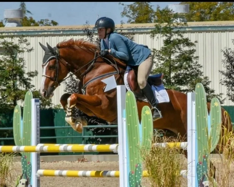A rider and a horse mid-jump over a colorful obstacle during a horse jumping competition, set outdoors with trees and a building in the background.