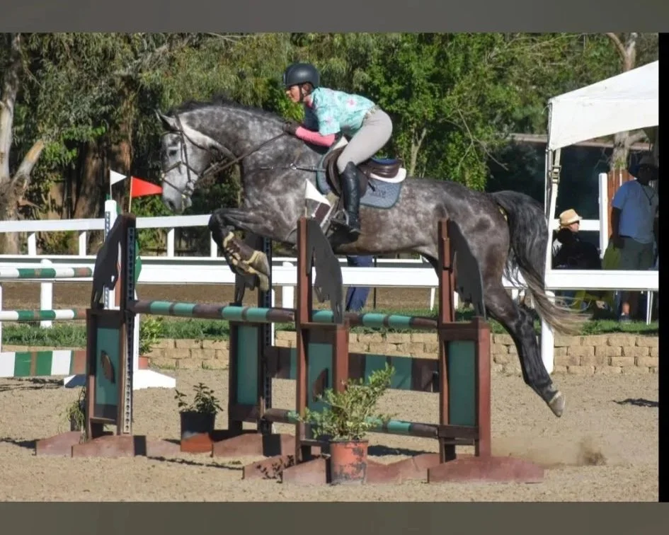 A person riding a grey horse is jumping over a green and brown obstacle in an outdoor equestrian arena. The rider is wearing a helmet, a light teal shirt, and grey riding pants.