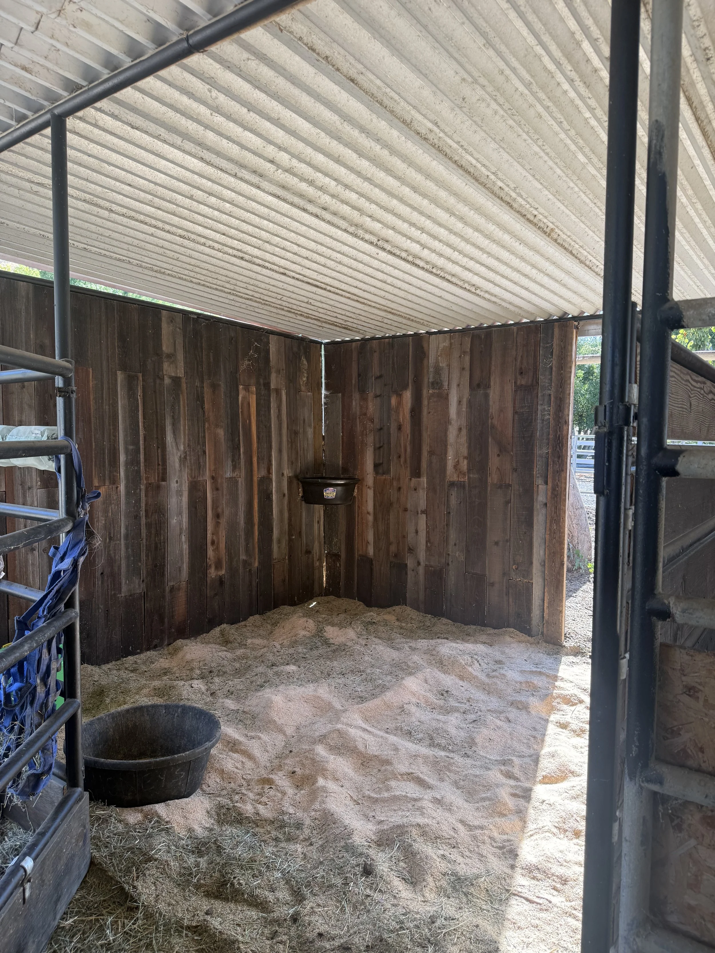Inside a horse stall with wooden walls and a sandy floor, a black feed bucket, and a haynet hanging on the left side. The ceiling is made of corrugated metal, and part of a metal fencing panel is visible on the right side.