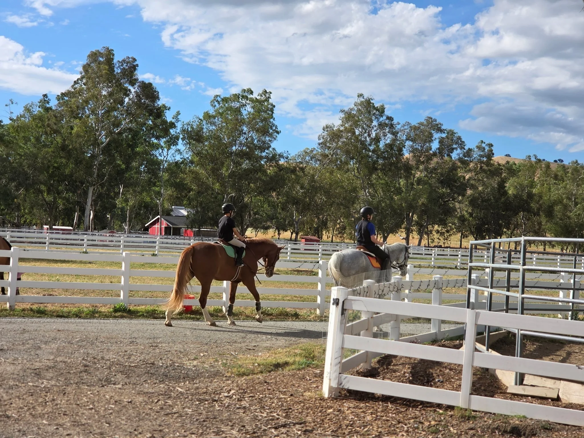 Two riders on horseback riding in an outdoor arena surrounded by white fencing and tall trees, with a blue sky and clouds overhead.