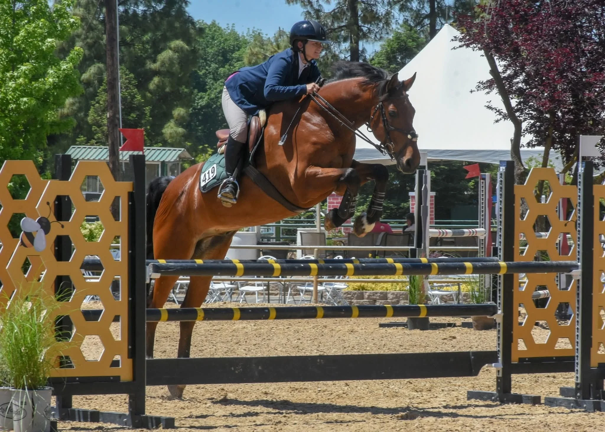 A woman riding a jumping horse during a show or competition outdoors, with trees and a blue sky in the background.