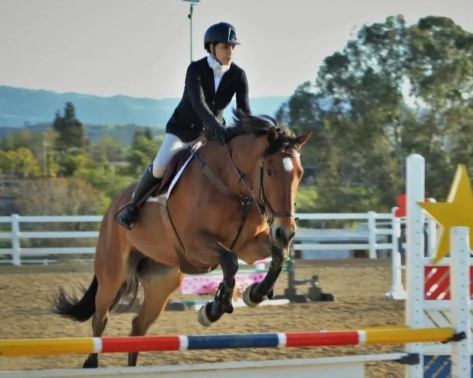 A young female equestrian in black riding attire and helmet jumping over a colorful obstacle on a brown horse in an outdoor riding arena.