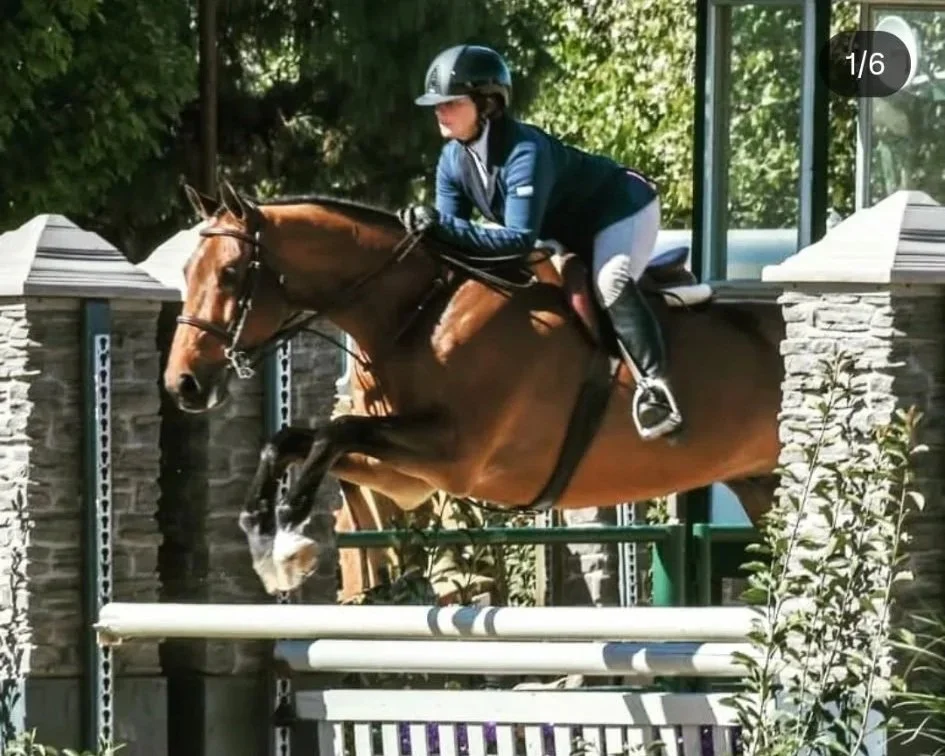 Equestrian rider in a blue jacket and helmet jumping over an obstacle on a chestnut horse during a horseback riding competition.