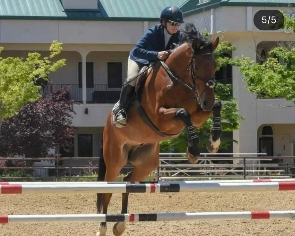 A person wearing a helmet, sunglasses, a blue jacket, and riding pants, jumping over a hurdle on a brown horse in an outdoor riding arena.