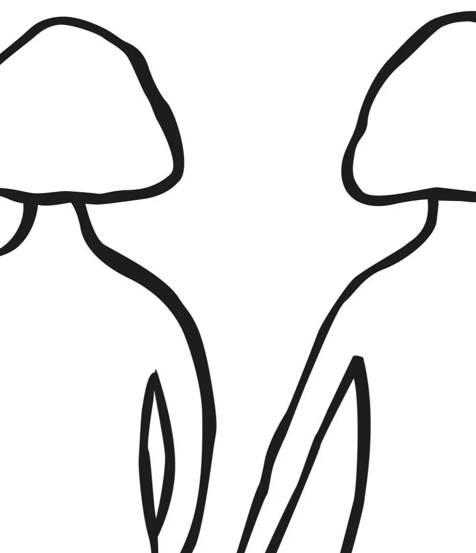 Escritos de Mujeres