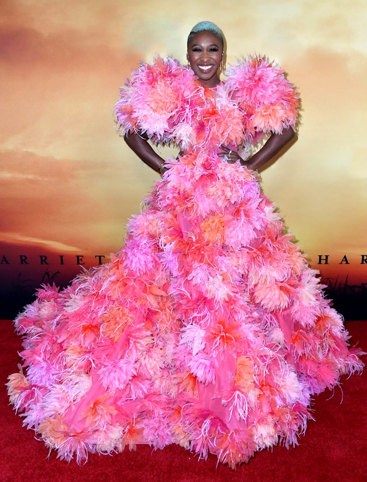 MJ_VIP_S20_CYNTHIAERIVO_DAHLIADRESS_RES150_CROP.jpg