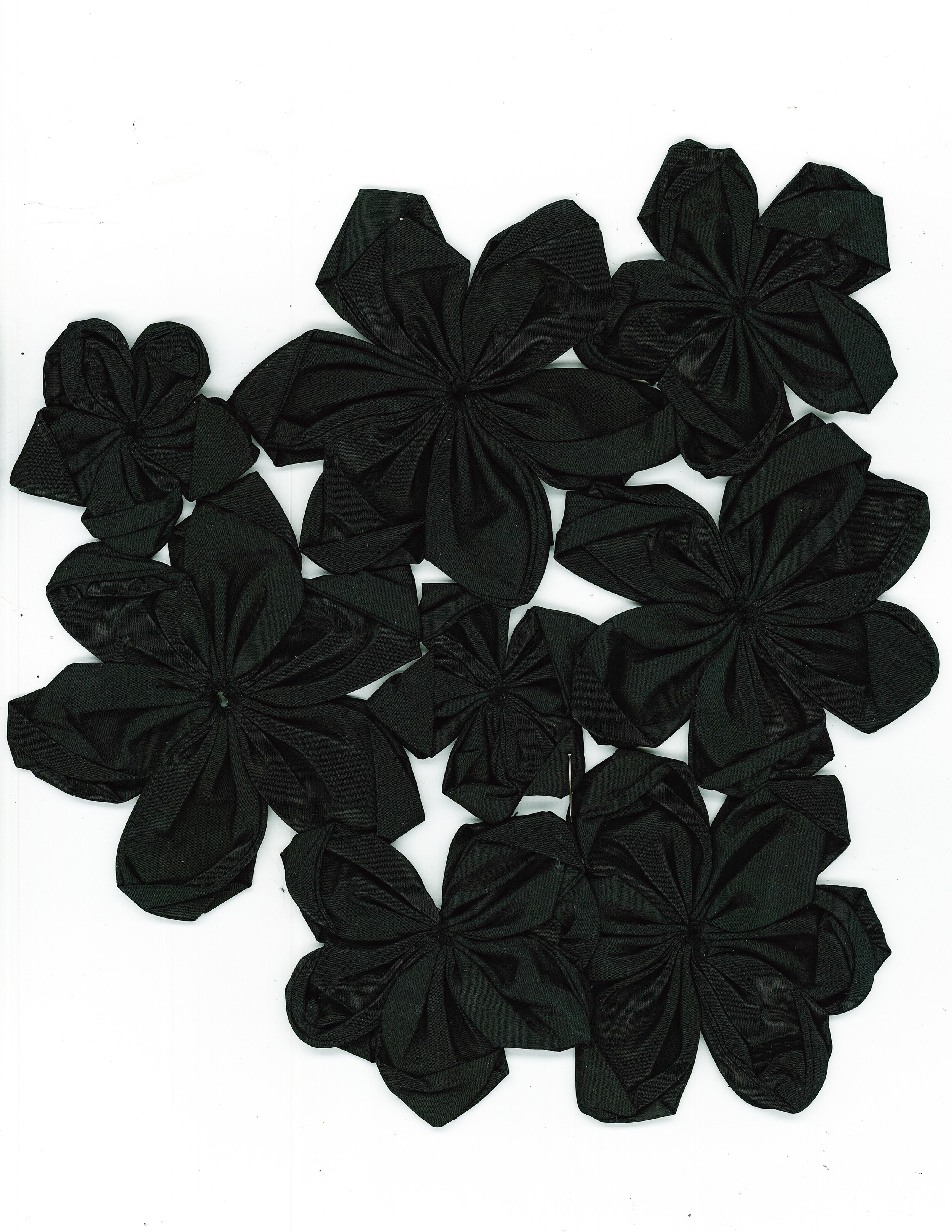 BLACK_LOOPY_FLOWERS.jpg