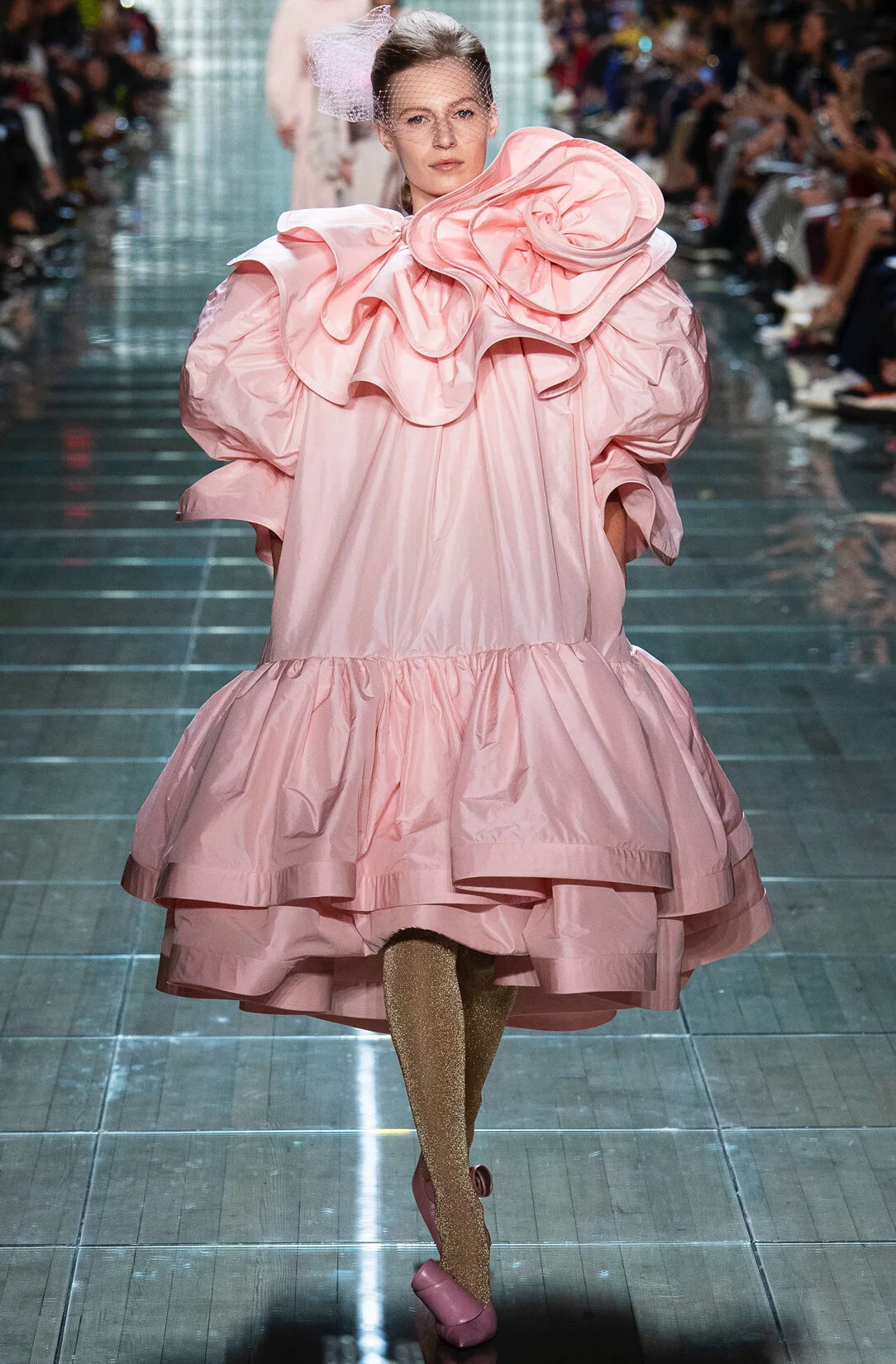MJ_S19_PINKGIANTROSE_RES150_CROP.jpg