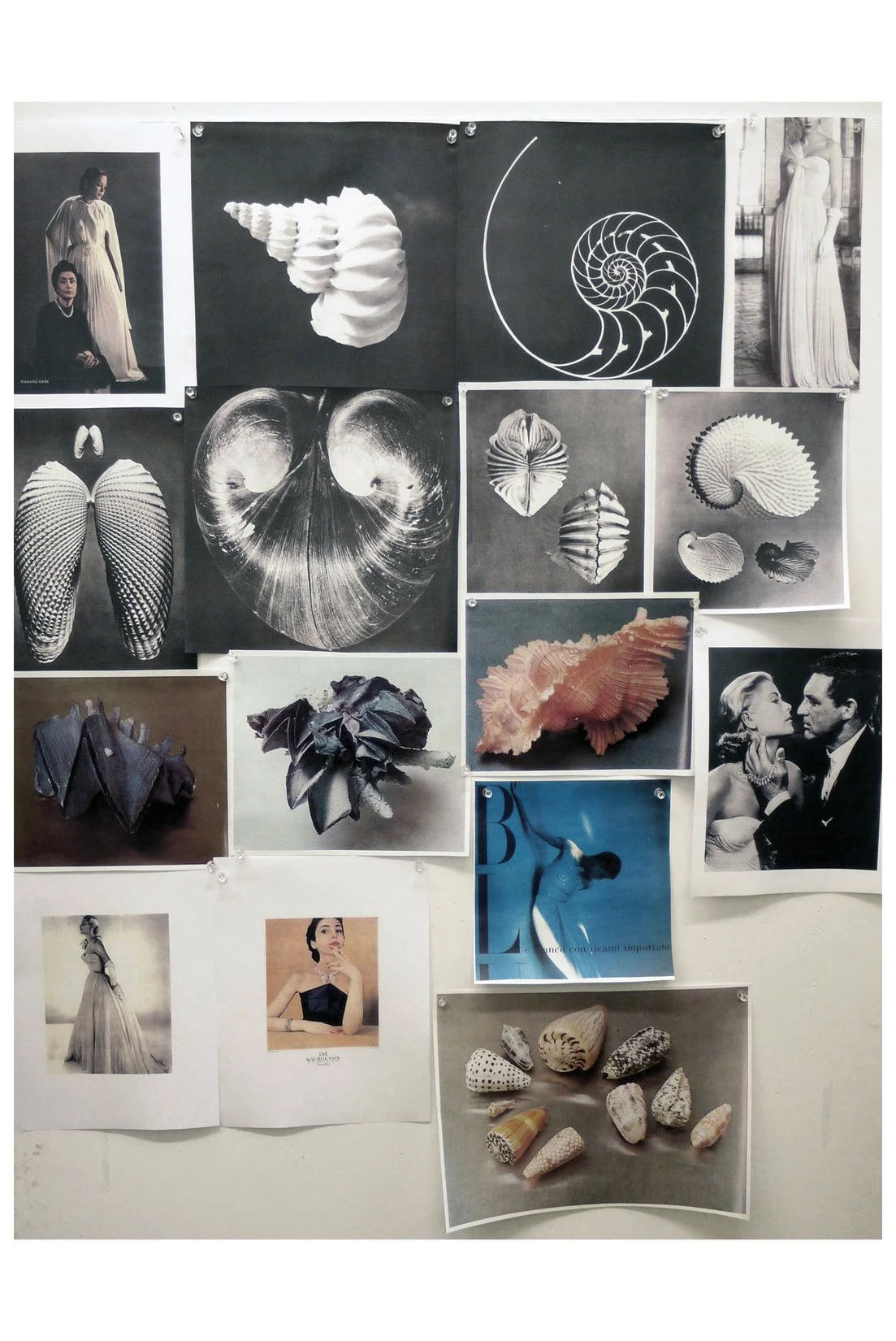 MARCHESA_F12_SHELLRESEARCH_RES150.jpg