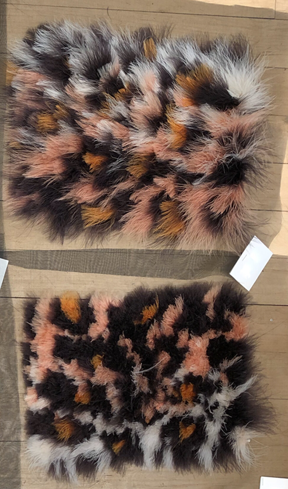 MJ_F9_X2LEOPARDFEATHERS_TRIALS_RES150.jpg