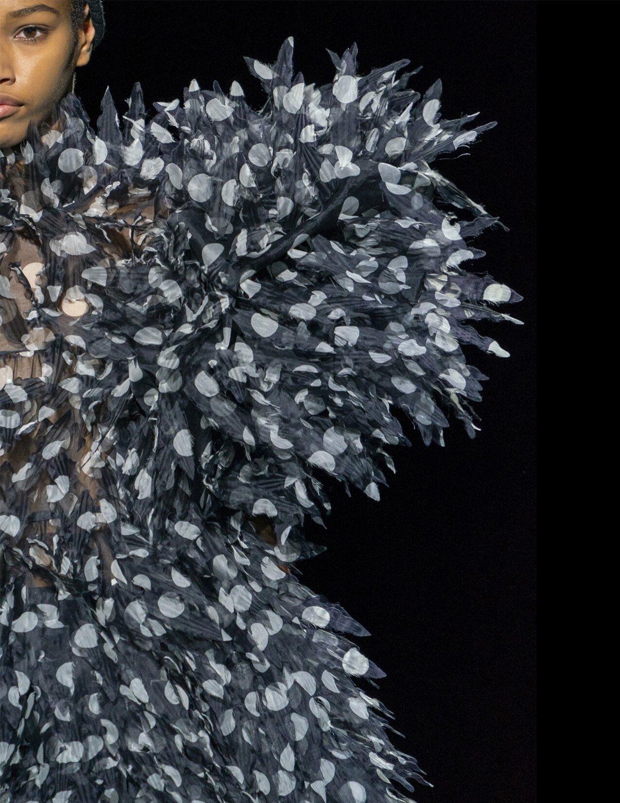 MJ_F19_POLKADOTFEATHERS_DETAIL_RES150.jpg