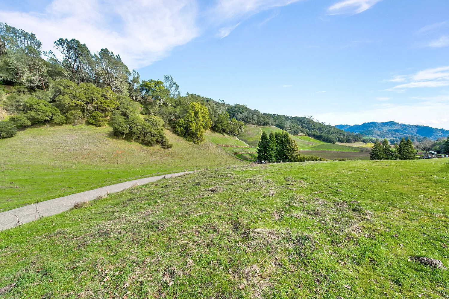 25_2700 Geysers Rd-044.jpg