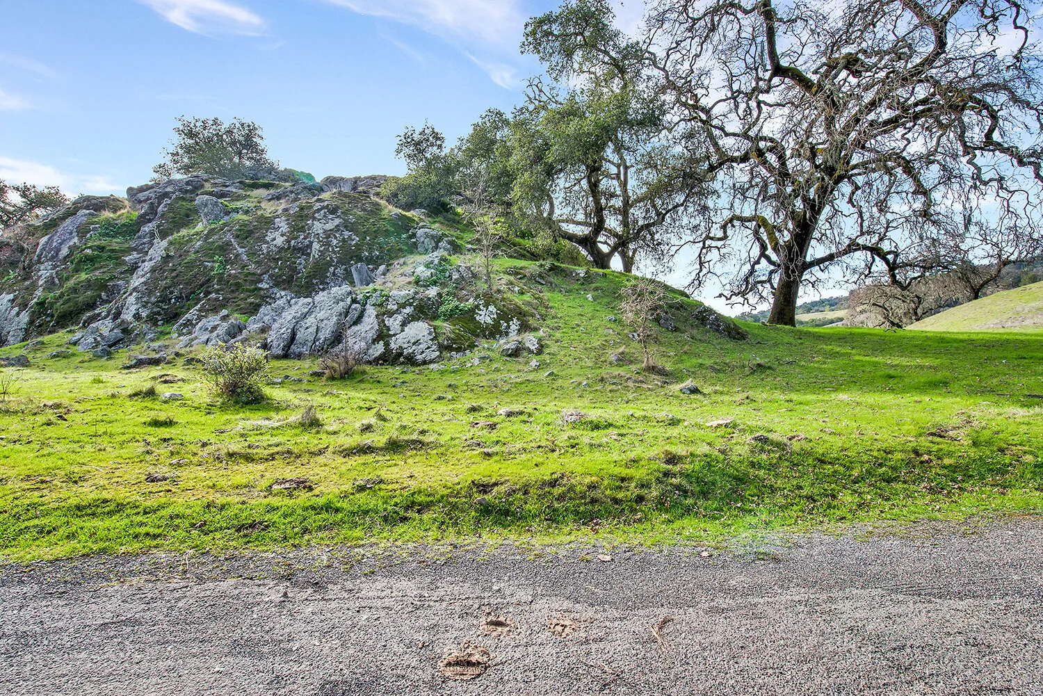 26_2700 Geysers Rd-046.jpg