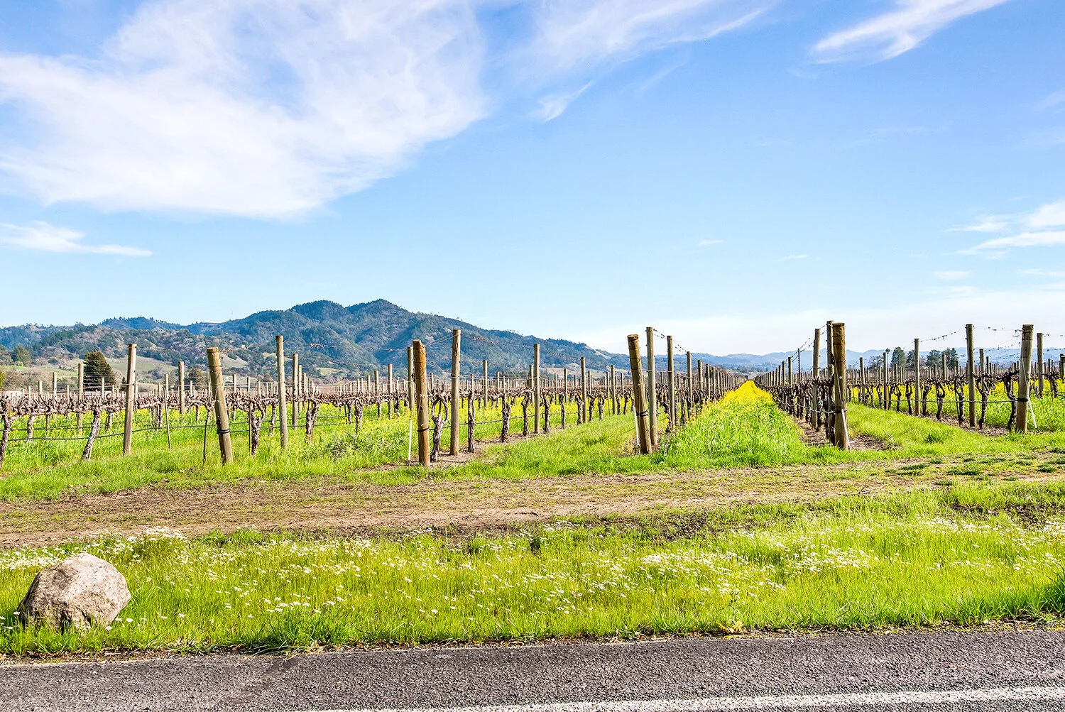 32_2700 Geysers Rd-081.jpg