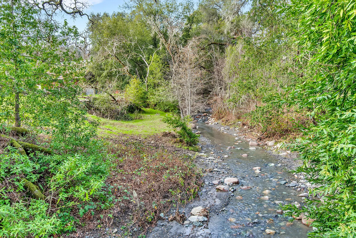 29_2700 Geysers Rd-067.jpg