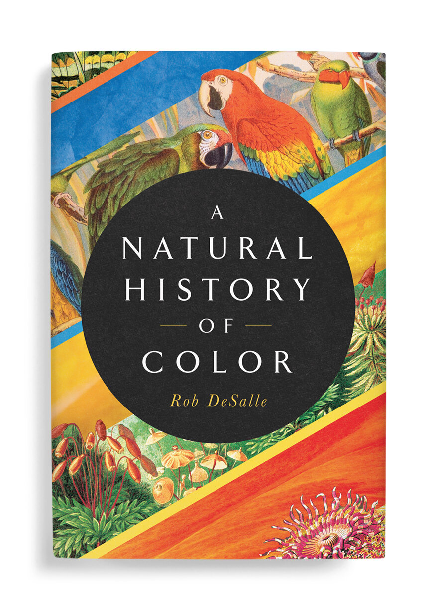   A Natural History of Color   Pegasus Books   Faceout Studio  // Lindy Kasler 