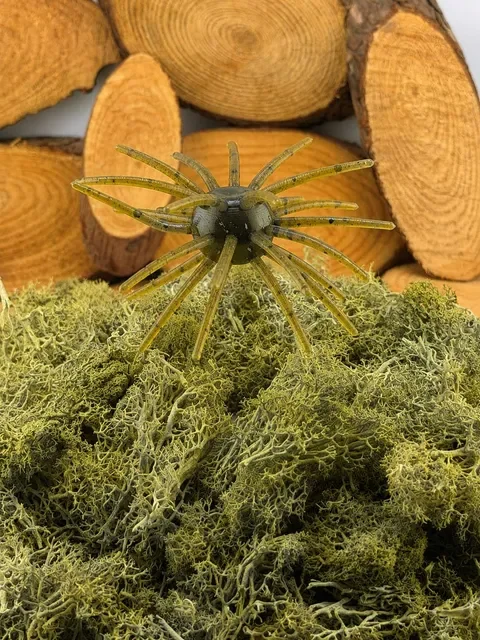 3.5 green pumpkin.webp
