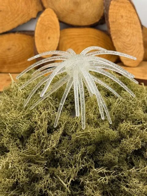 5.6 clear sparkle.webp