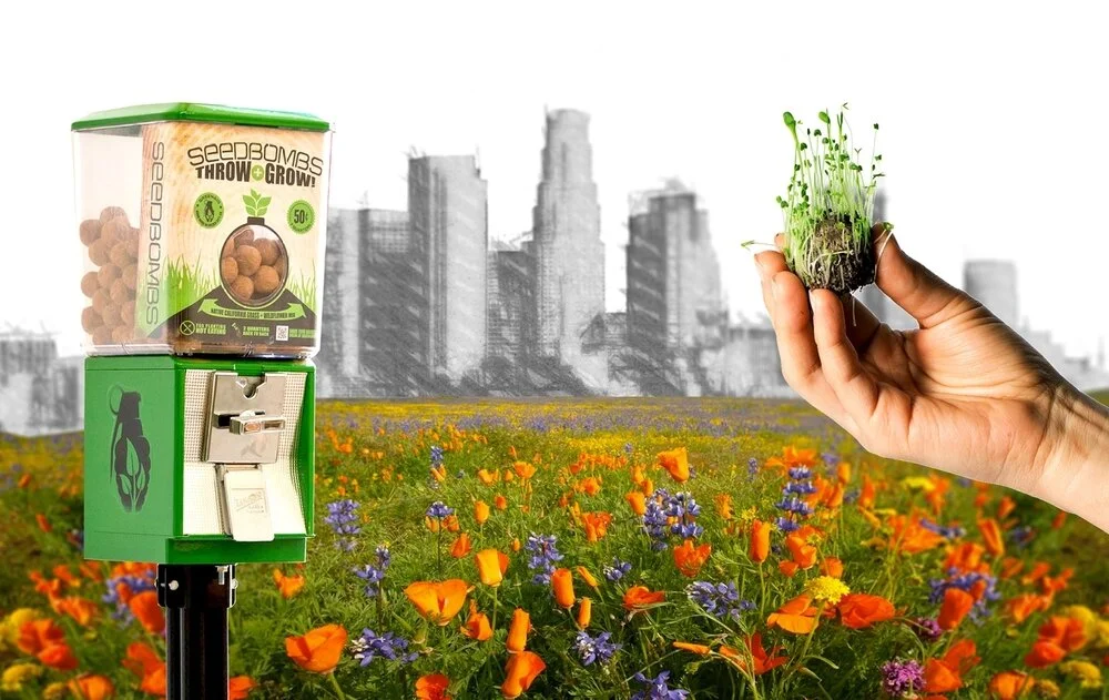 eco-friendly community projects