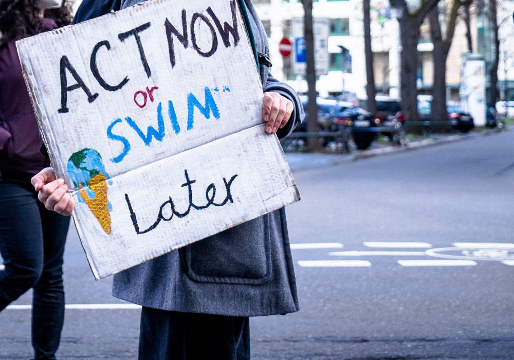 30 days of climate action now (holiday edition) — Polly Barks