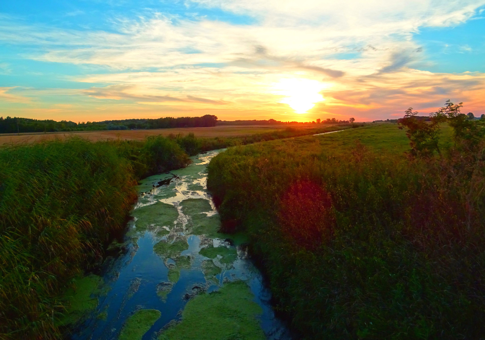 What is PVA? Should it be in your home? — Polly Barks