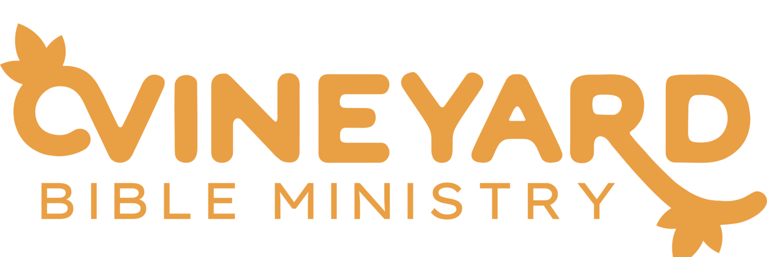 Vineyard Bible Ministry