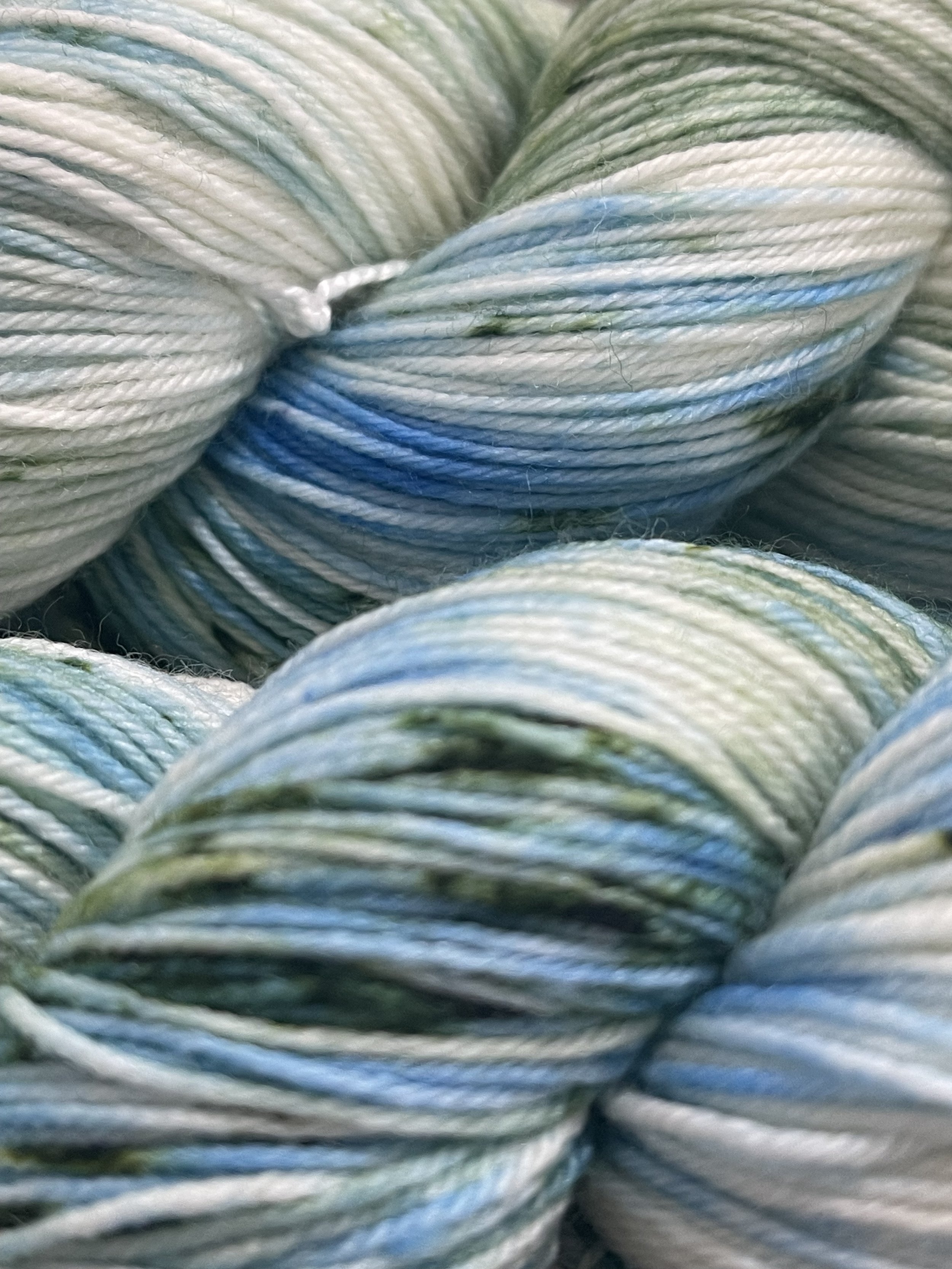 sea holly 3.jpeg