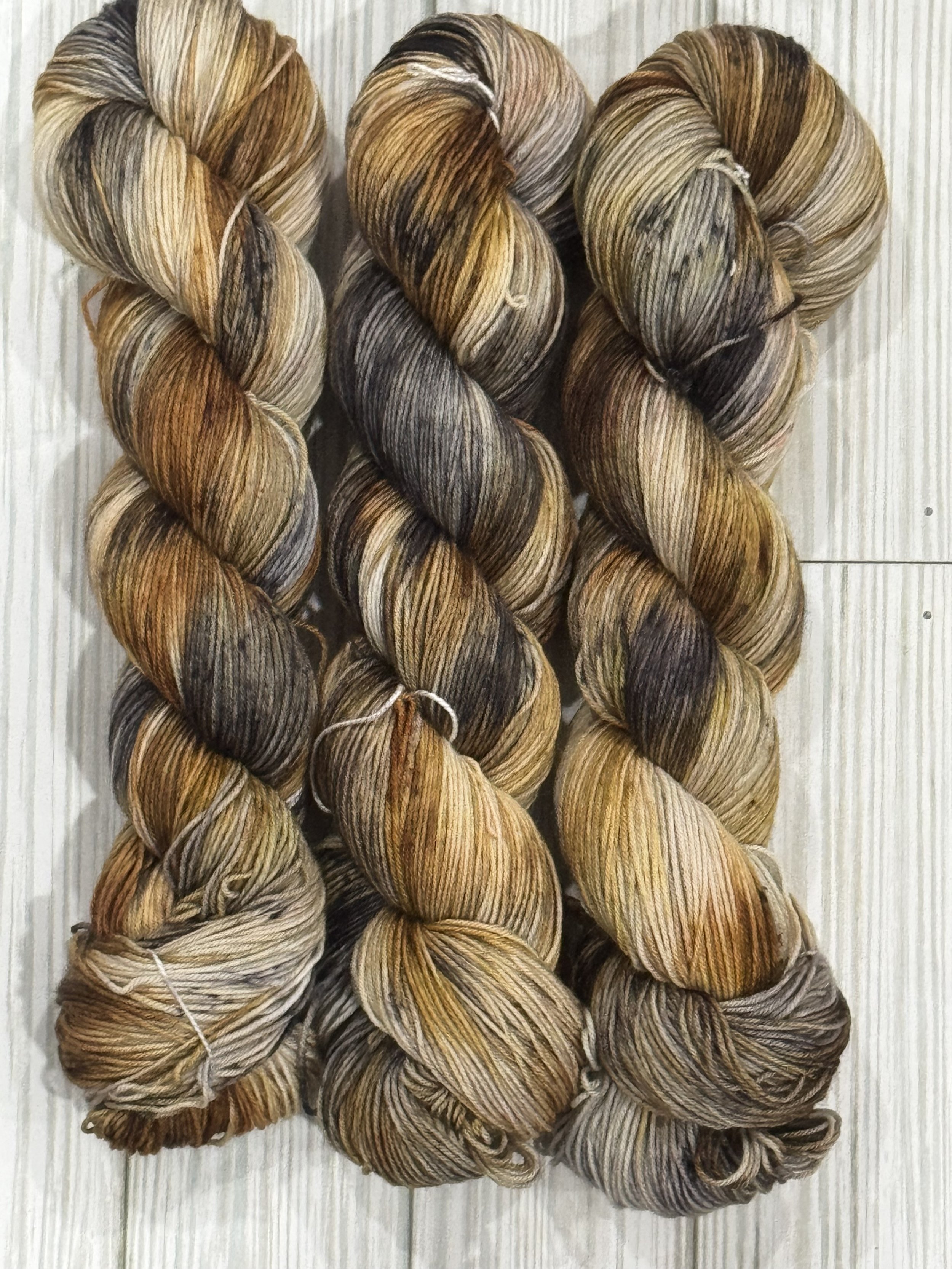 "Chickadee" 2026 Bird of the Month