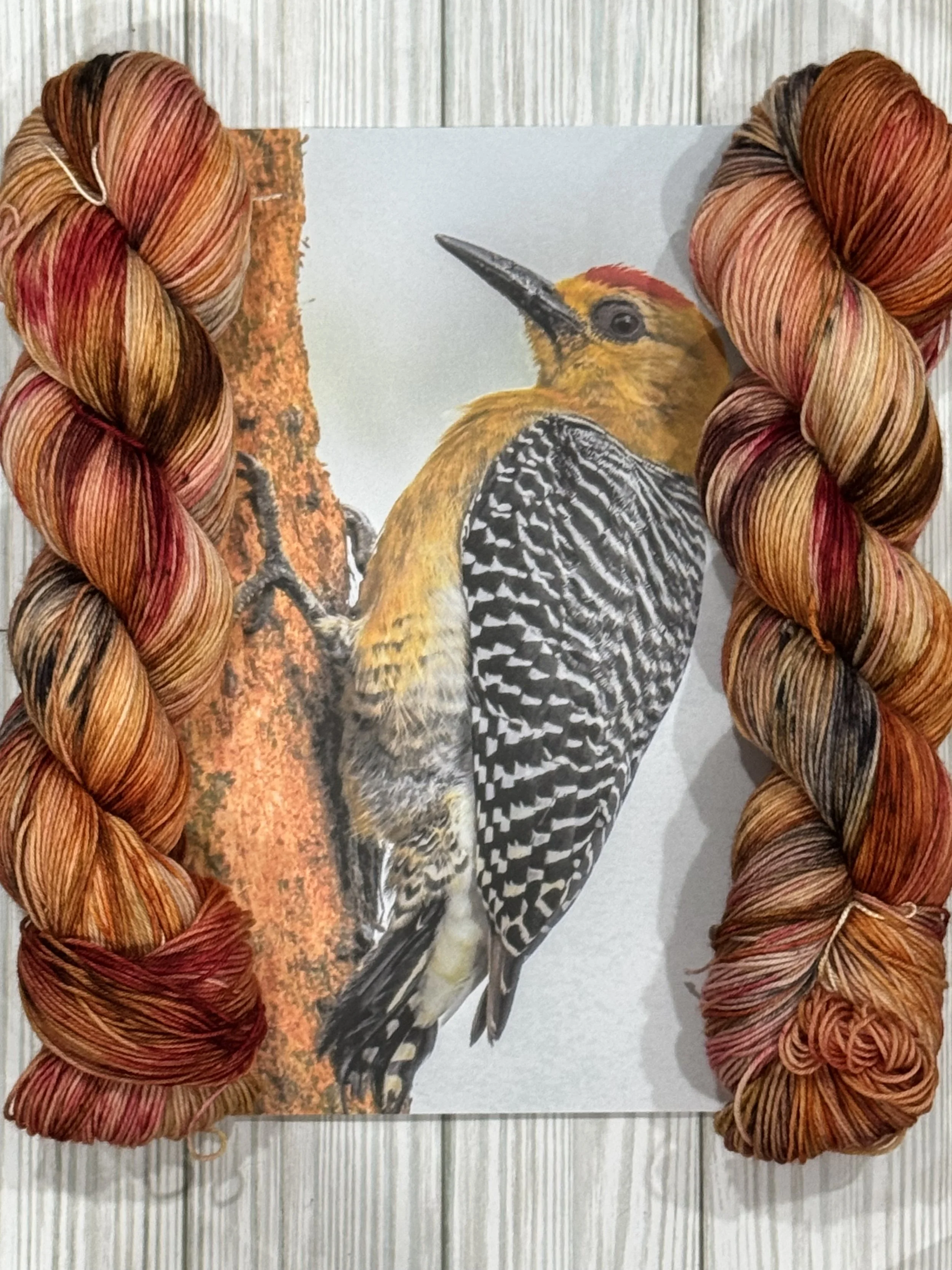 "Wood Pecker"  2026 Bird of the Month "August"