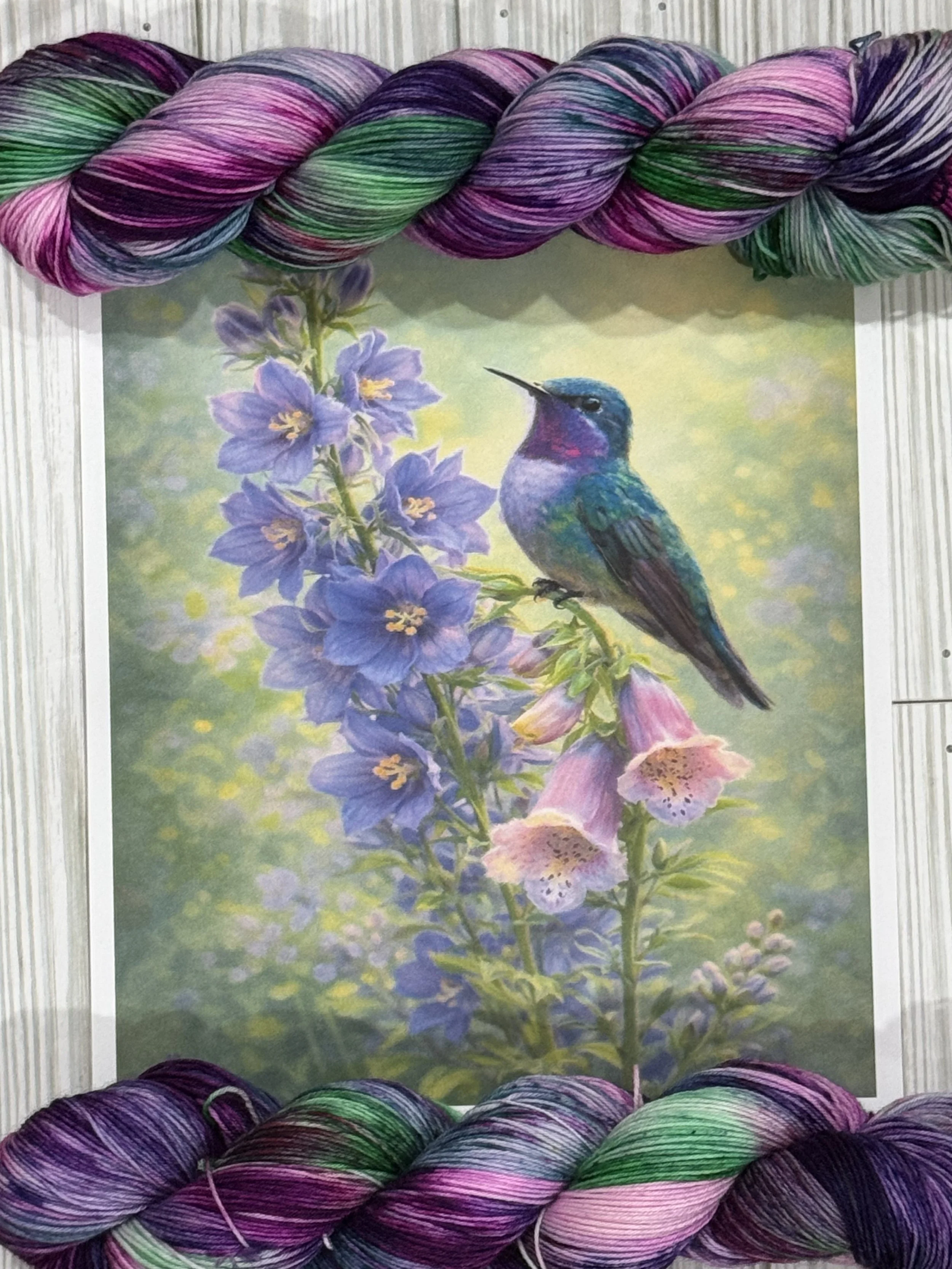 "Hummingbird"  2026 Bird of the Month "May"