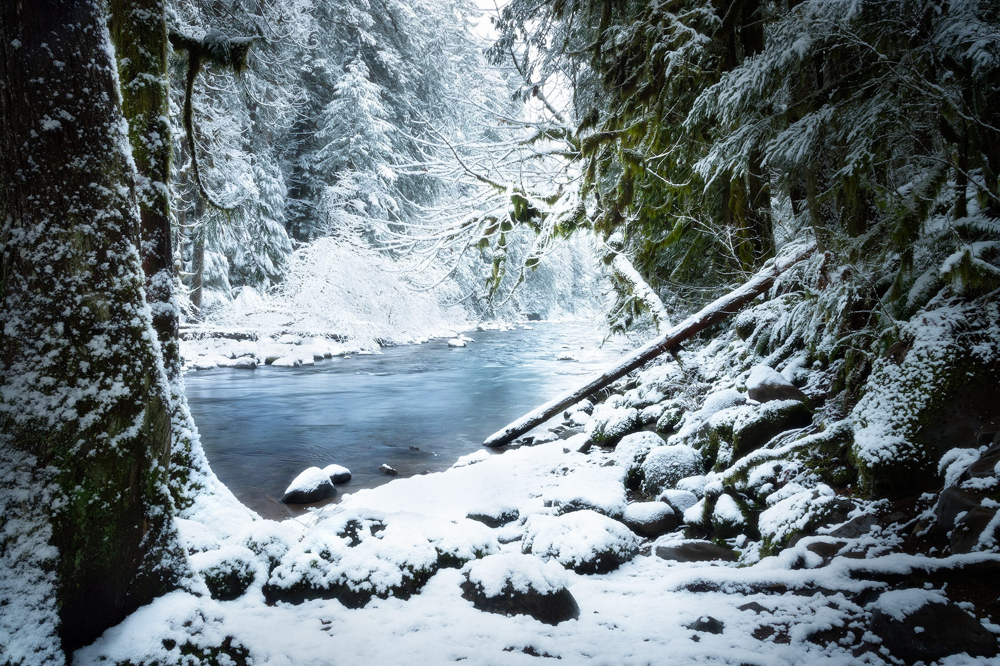 _DSC4494-2.png