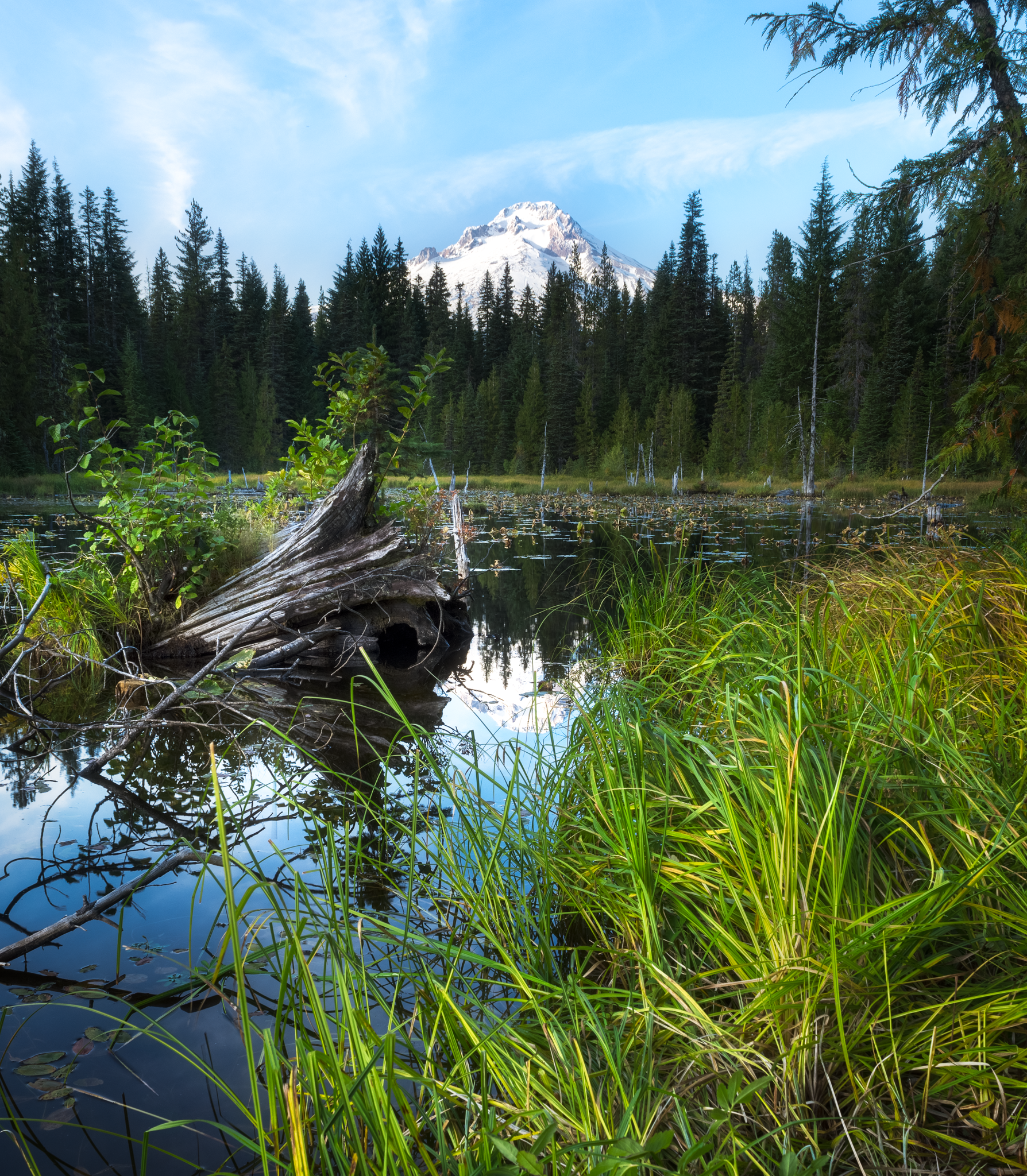 _DSC7720-HDR-ORTON.png
