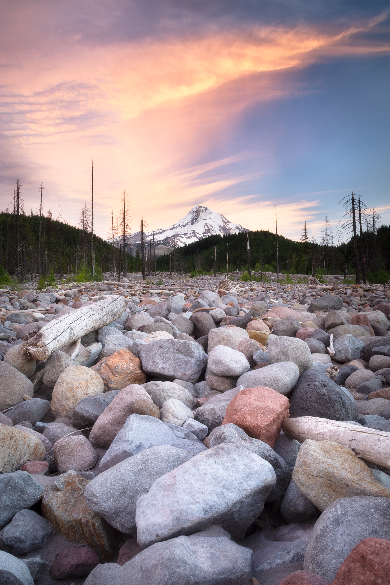 _DSC2935-2.png