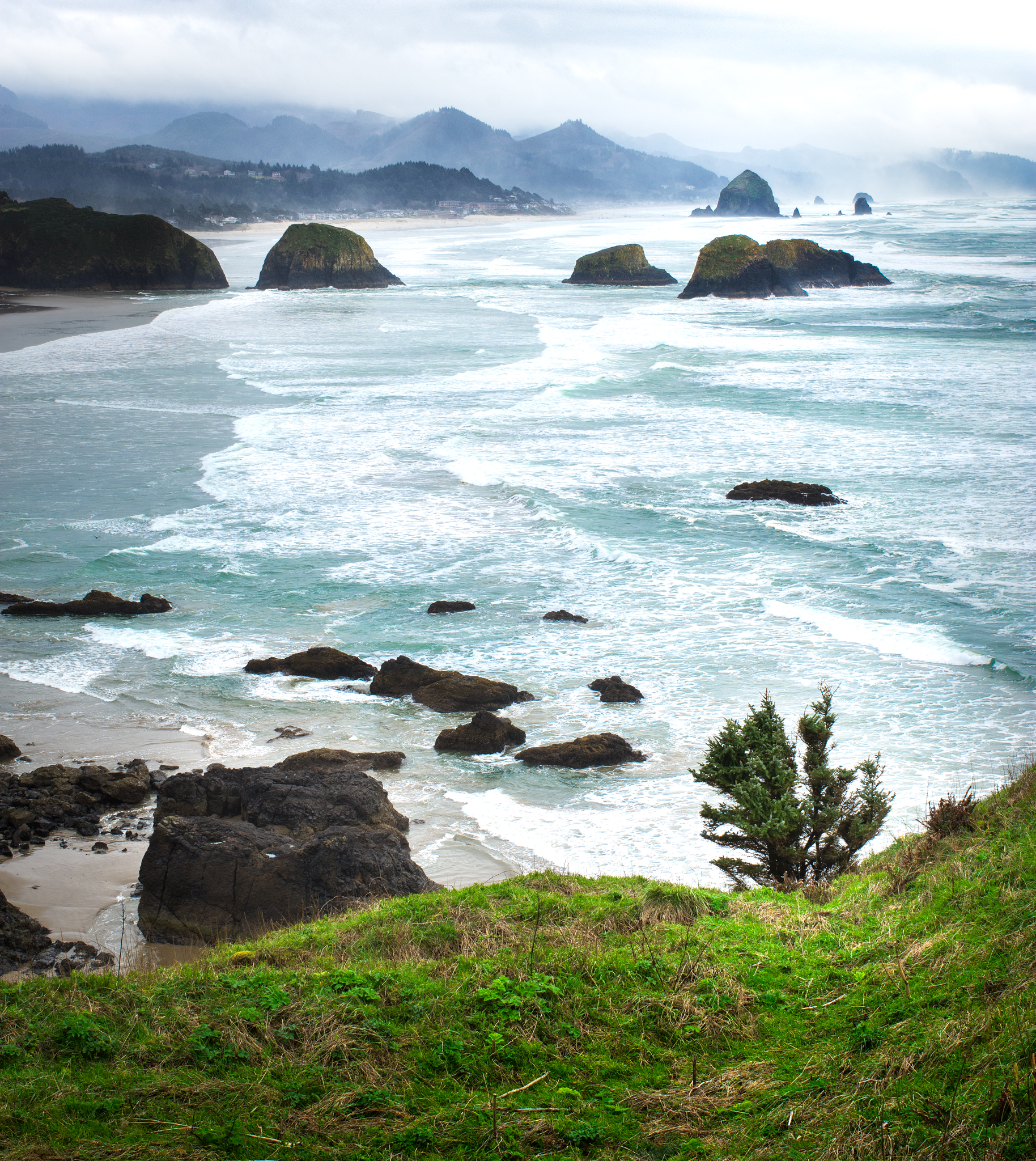_DSC2616-4-Pre-Orton.png